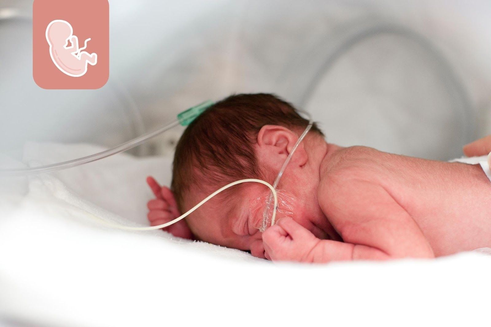 Trẻ sinh non cần được chăm sóc một cách kỹ lưỡng - Nguồn ảnh: Canva