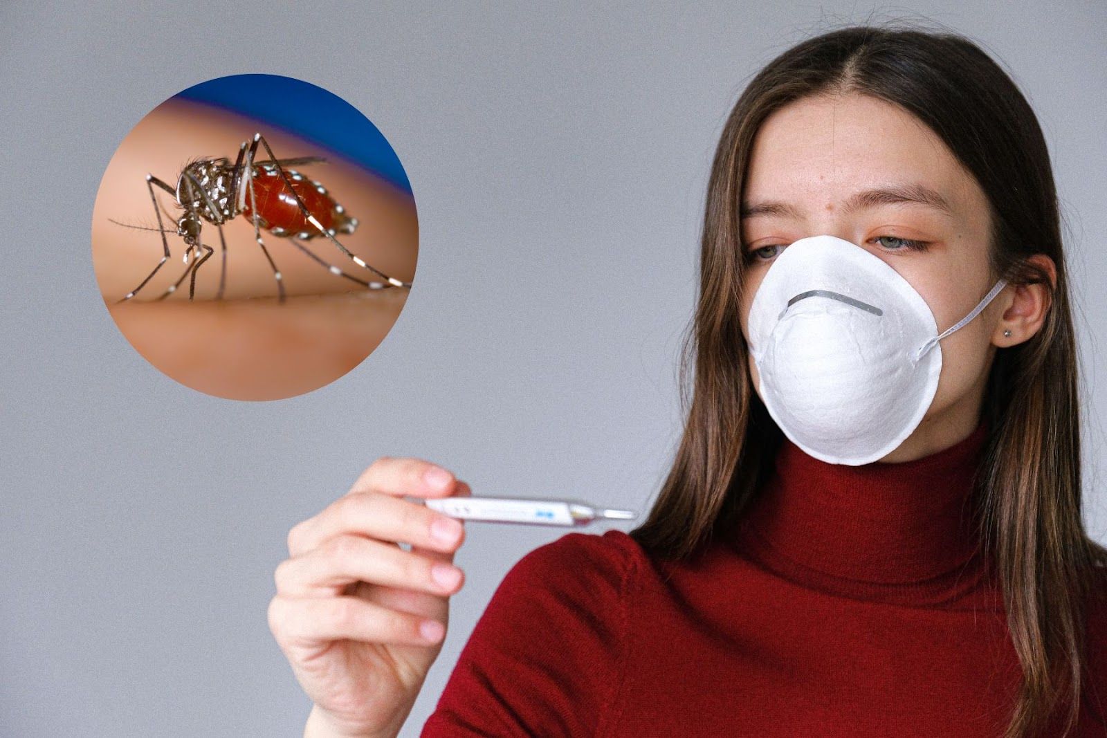 Sốt xuất huyết tiến triển theo 3 giai đoạn (Nguồn: Canva)
