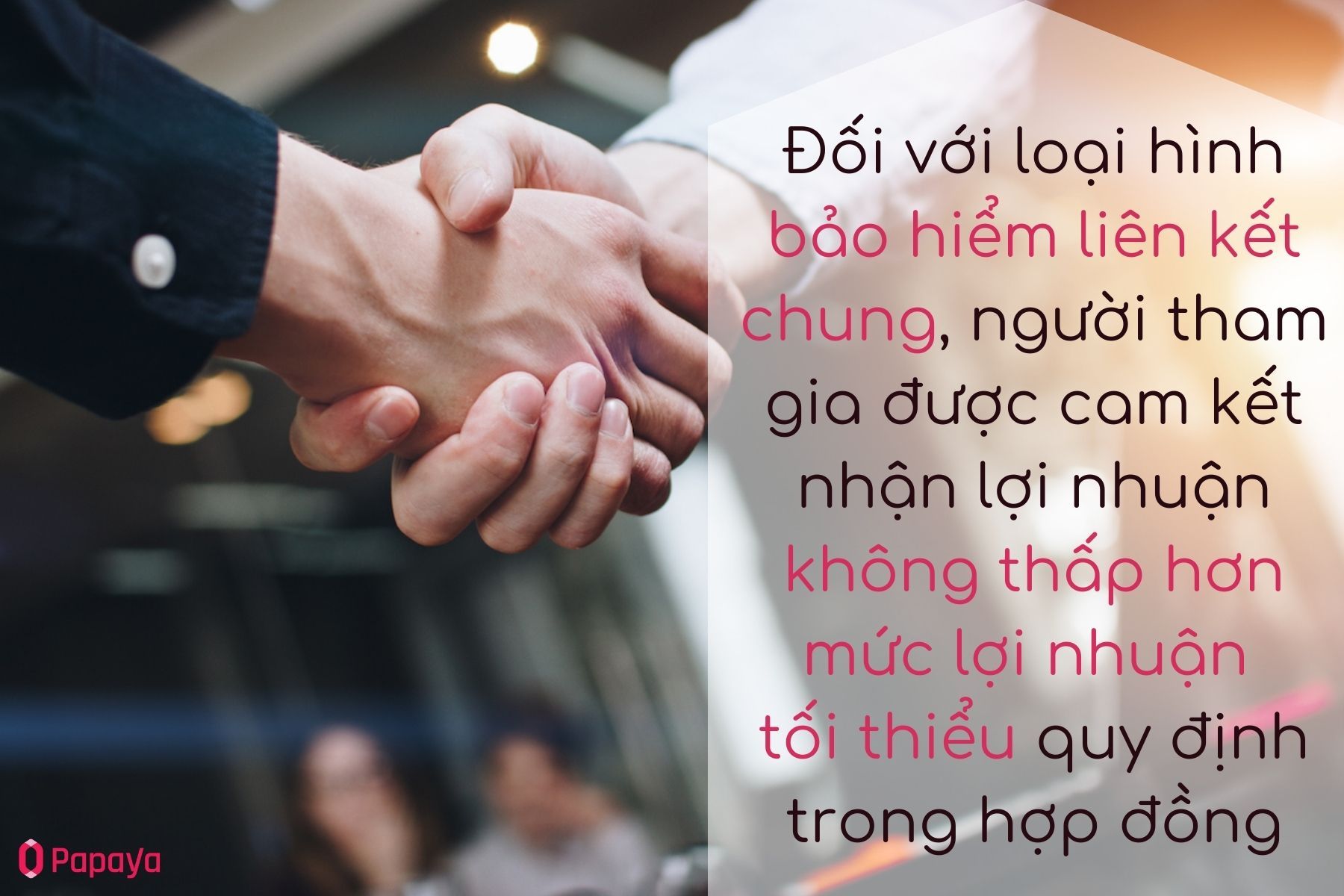 Bảo hiểm liên kết chung cam kết mức lợi nhuận tối thiểu