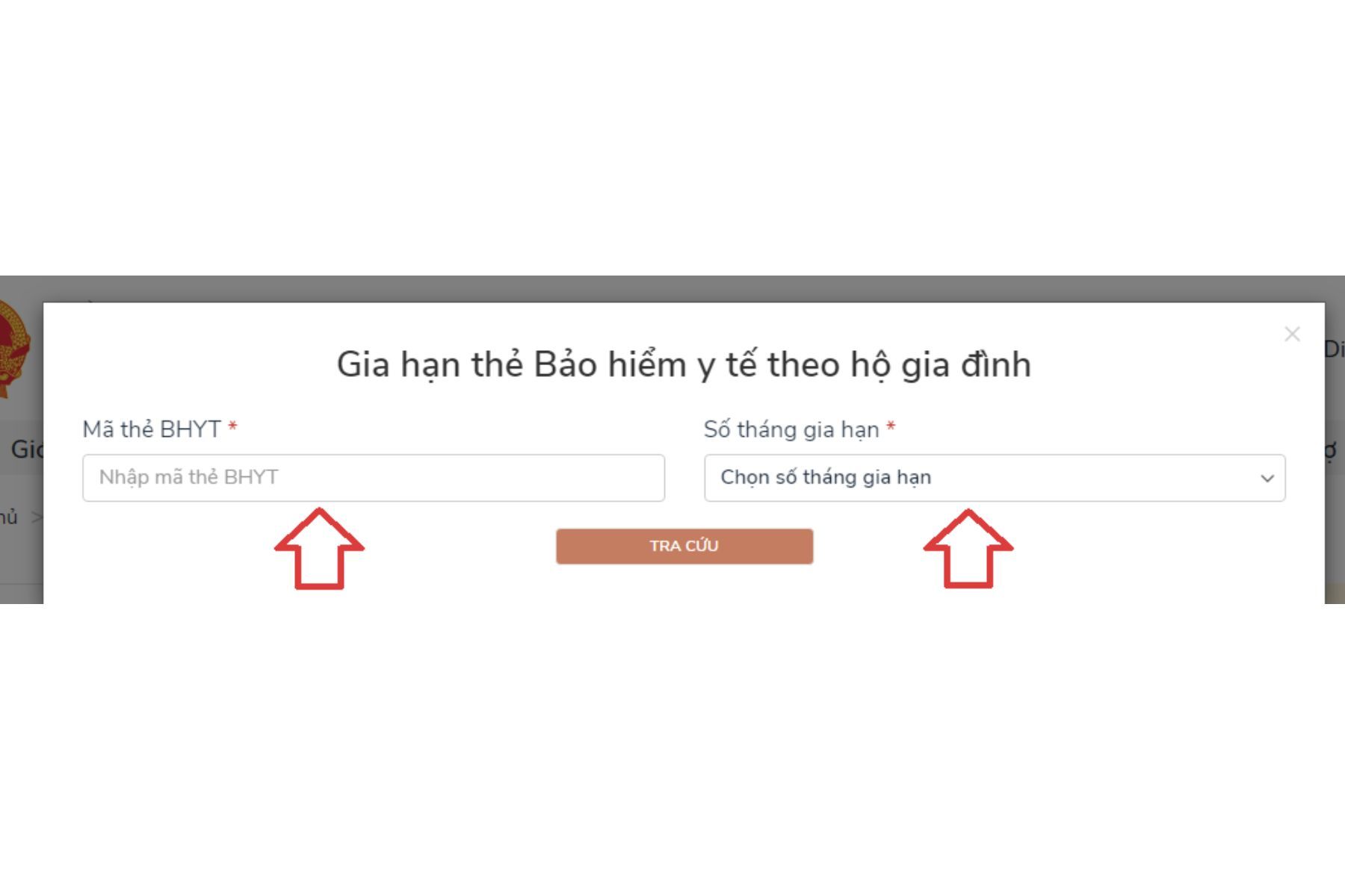 Nhập mã số thẻ BHYT, chọn số tháng muốn thanh toán và ấn “Tra cứu” (Nguồn: Internet)