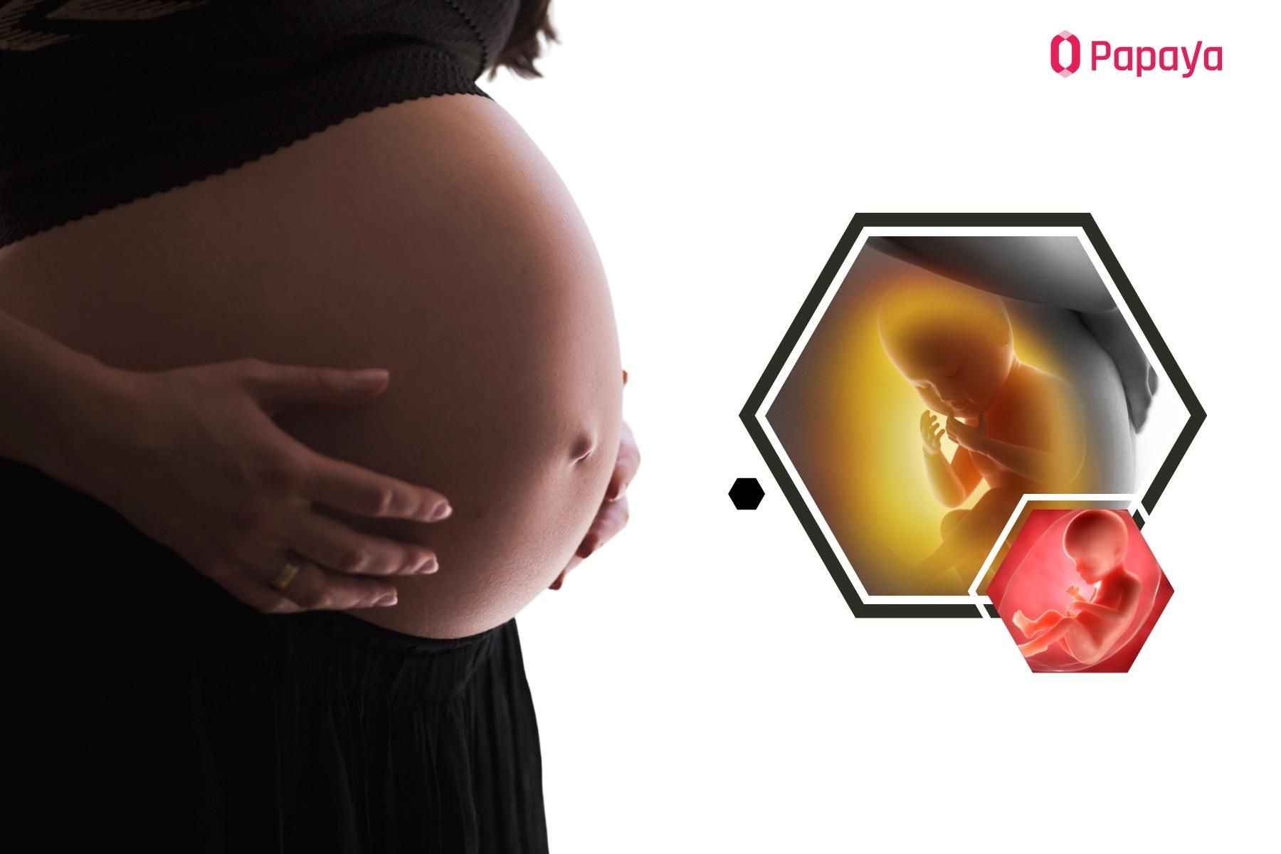 Nước ối là được tạo ra từ nhau thai, màng ối và hệ tuần hoàn của mẹ bầu