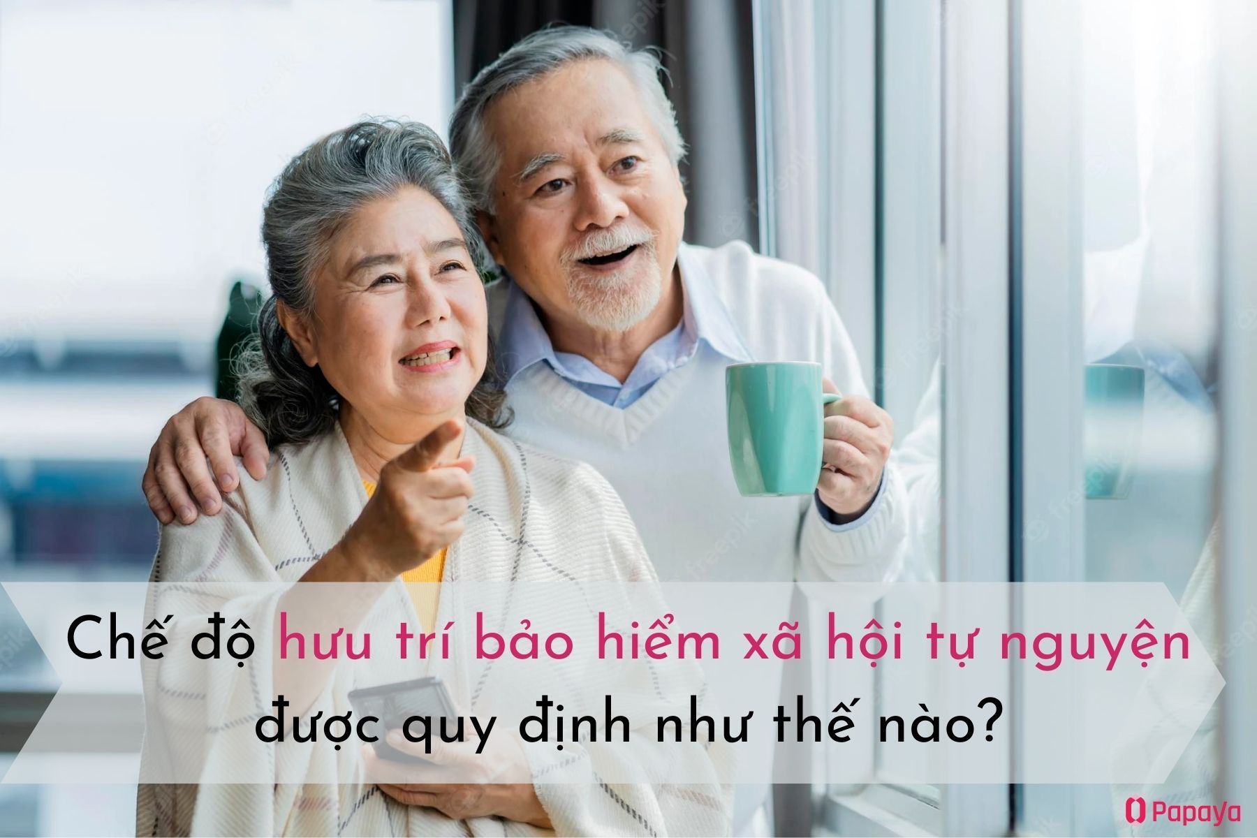 Chế độ hưu trí bảo hiểm xã hội tự nguyện là gì?