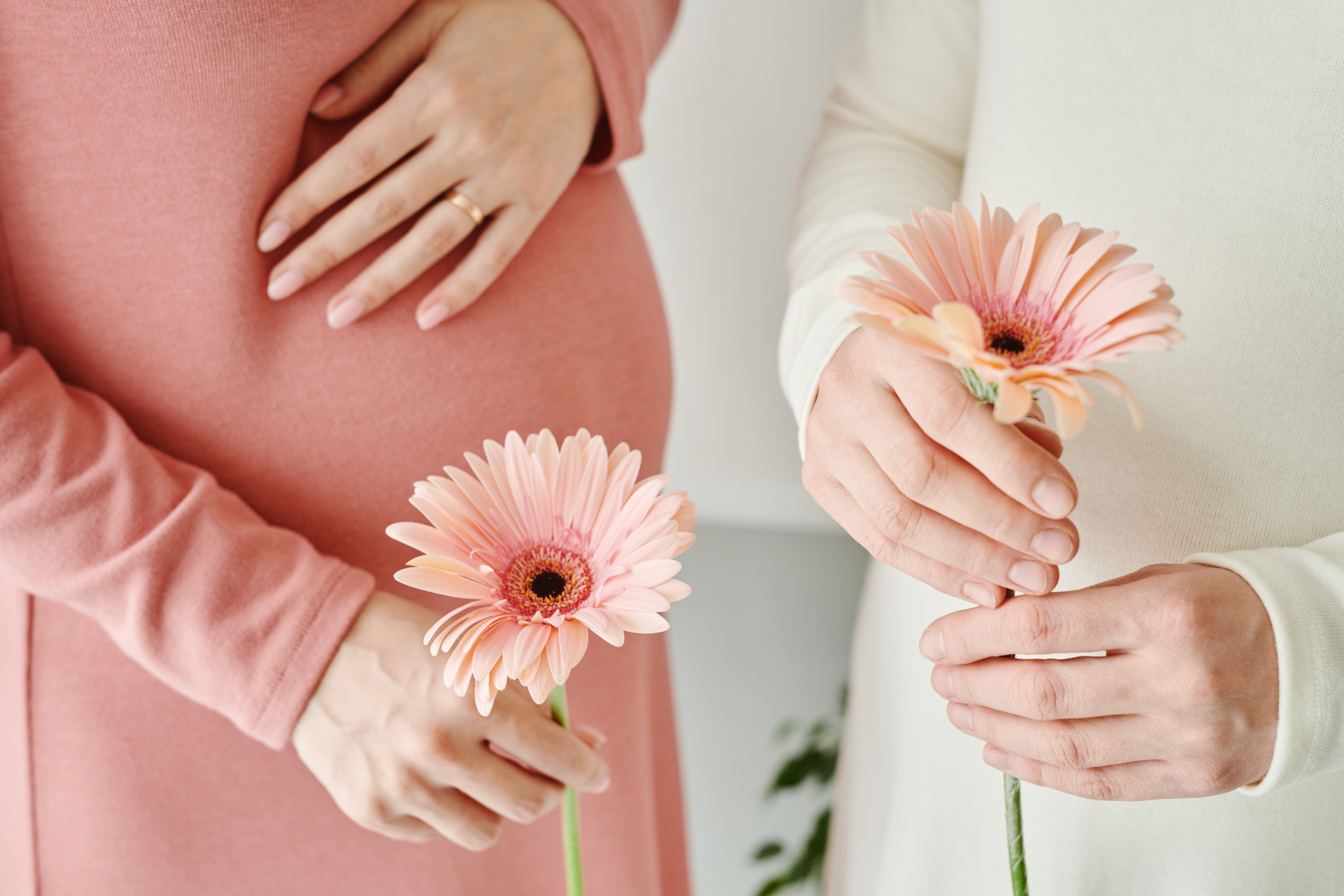 Trợ cấp và phụ cấp khi thai sản của giáo viên sẽ được bảo hiểm xã hội chi trả.