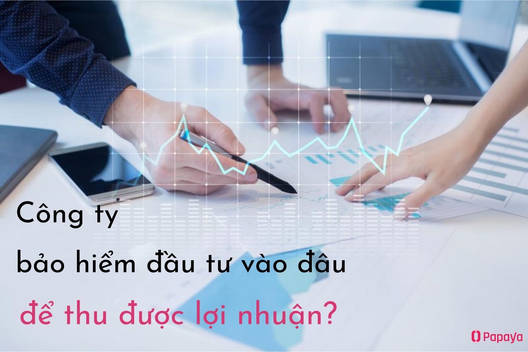 cong-ty-bao-hiem-dau-tu-vao-dau.jpg
