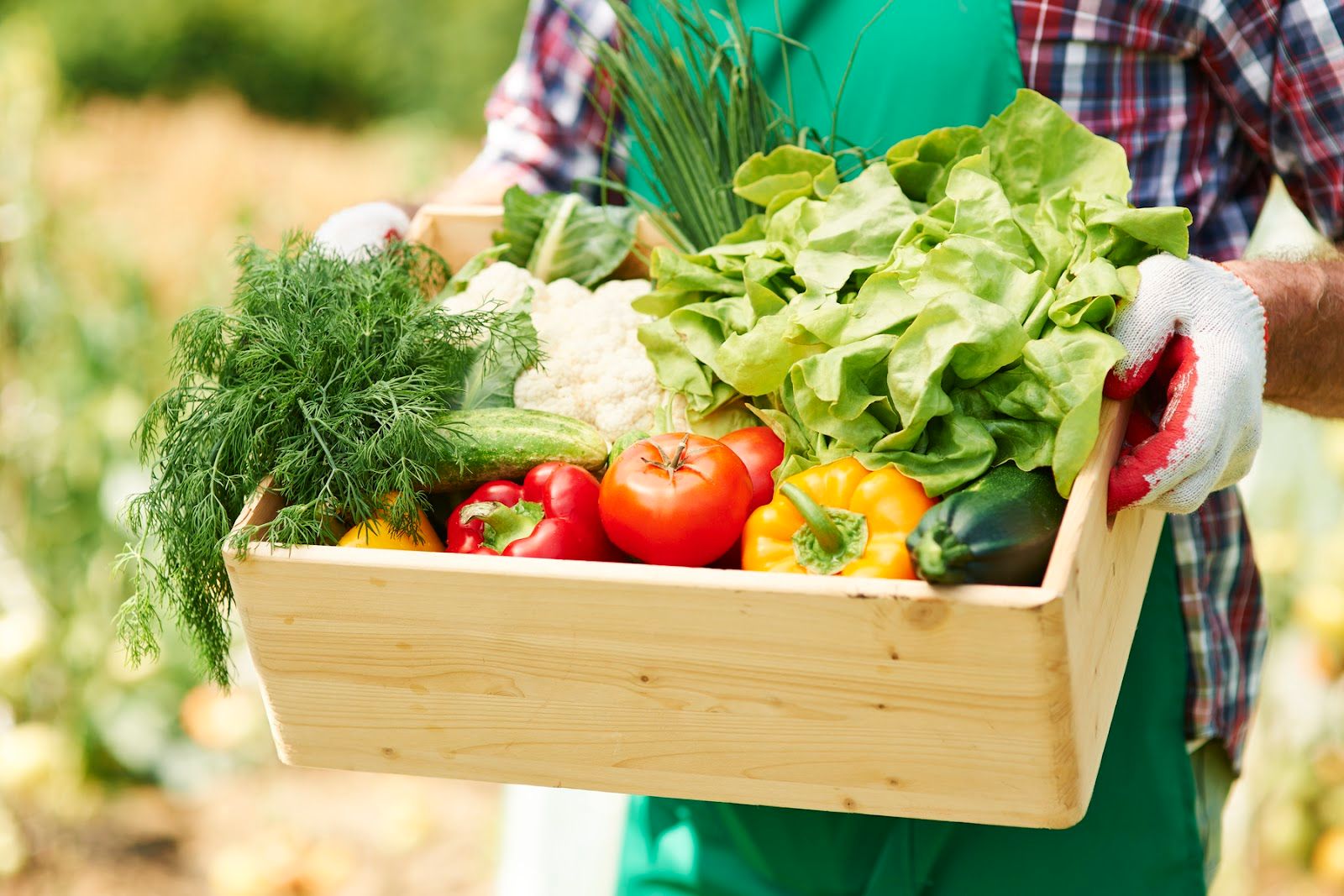 Thực phẩm organic là gì?