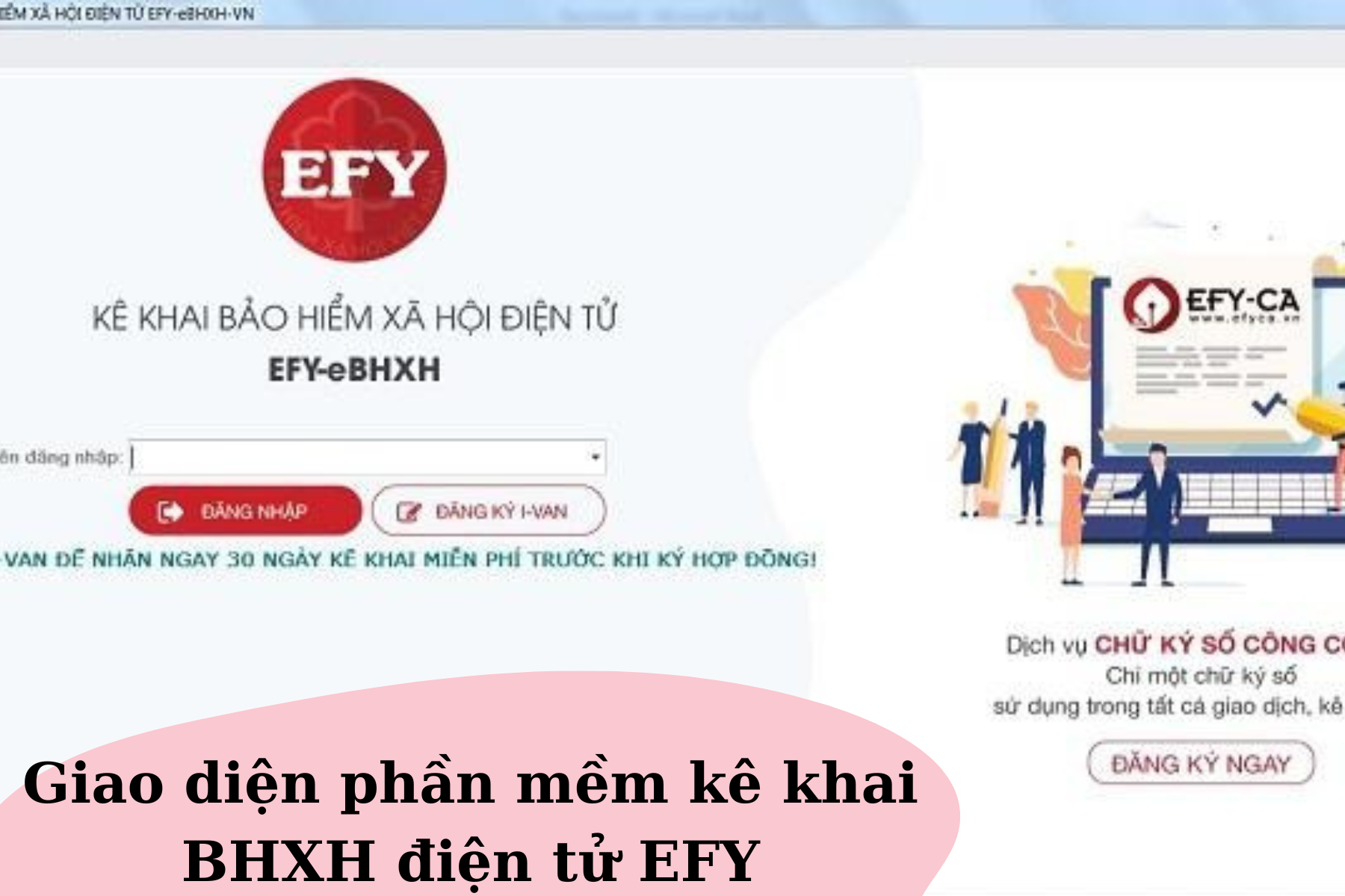 Phần mềm kê khai BHXH điện tử EFY