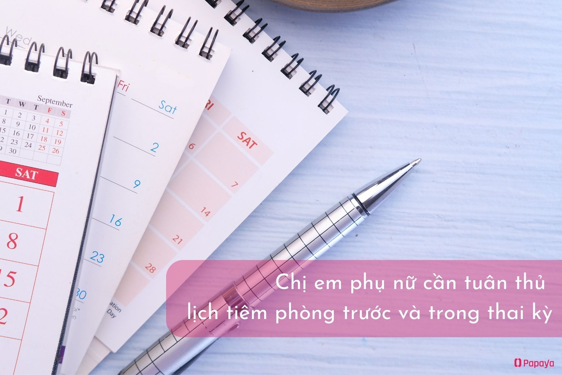 Lưu ý khi tiêm phòng trước và trong thai kỳ (Nguồn: Canva)