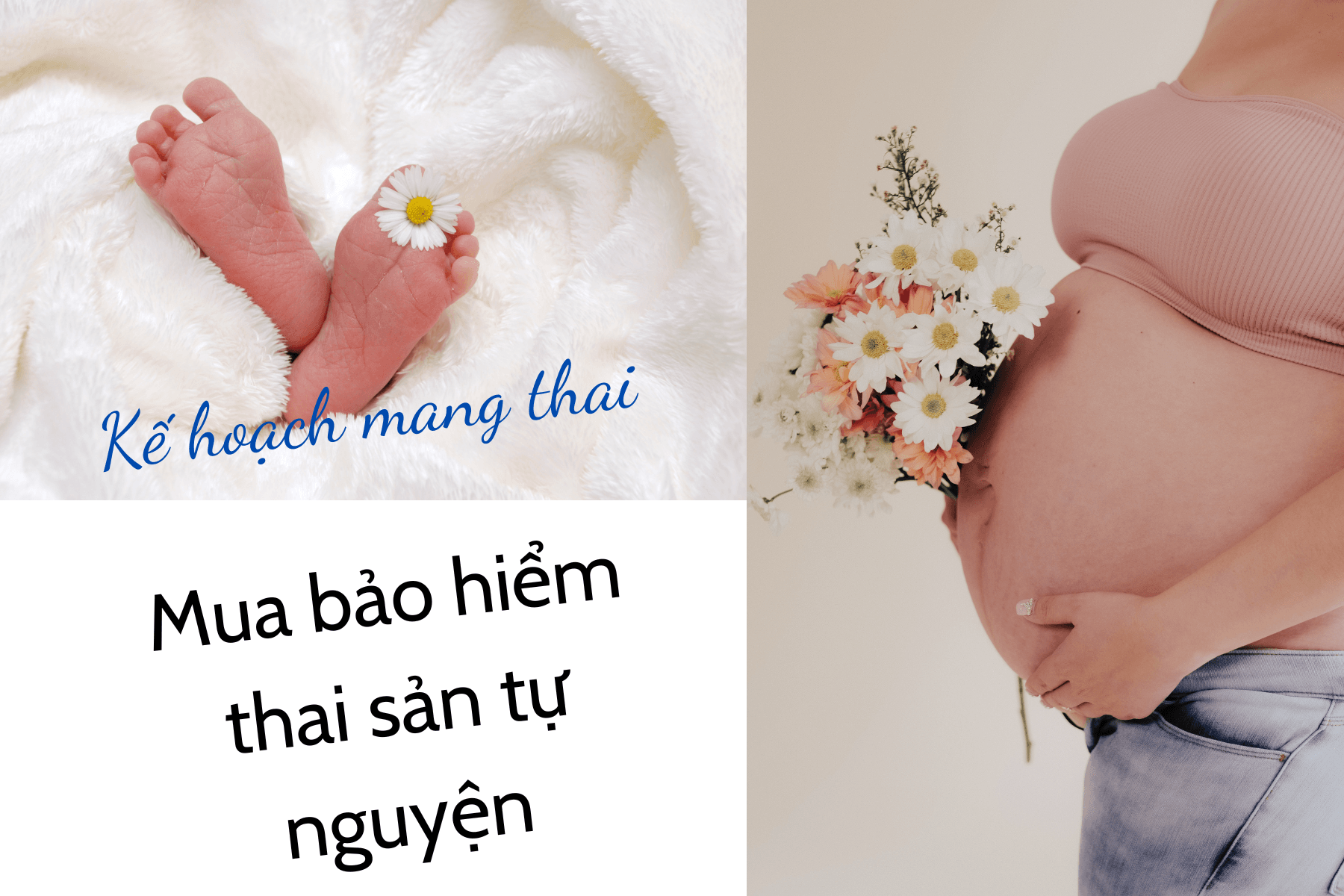 Mua bảo hiểm thai sản tự nguyện đem lại những quyền lợi bạn không nên bỏ lỡ!