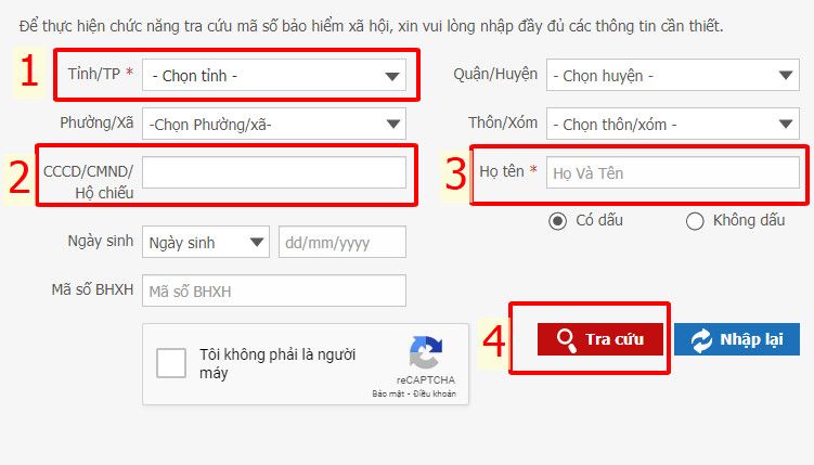 Nhập các thông tin cá nhân và tra cứu