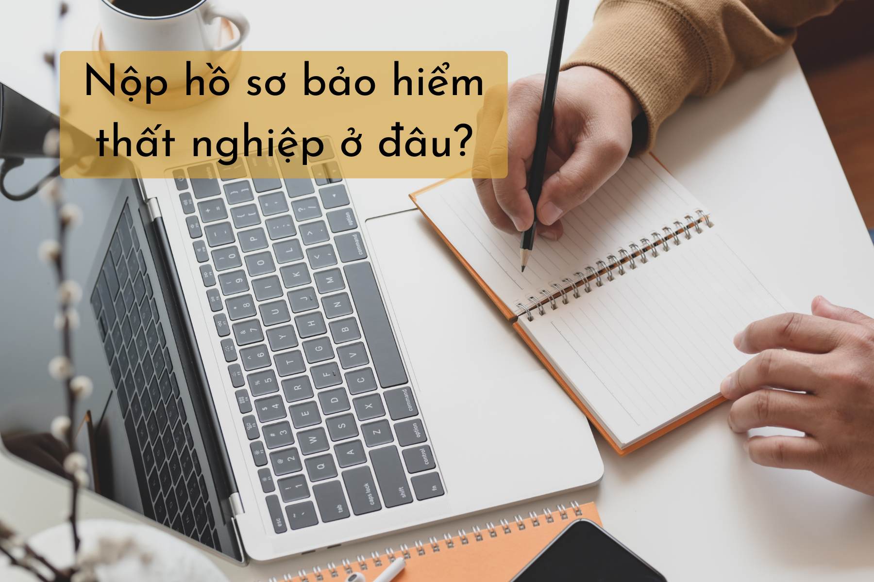Nộp hồ sơ bảo hiểm thất nghiệp ở đâu?