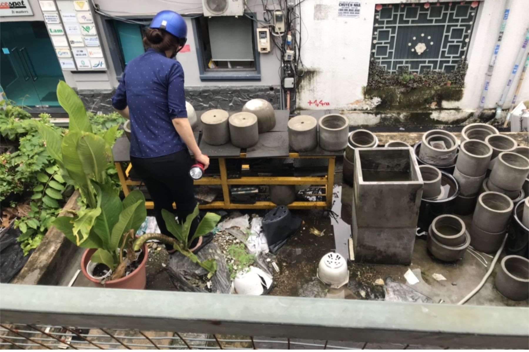 Muỗi sinh sản ở những nơi có nước đọng (Nguồn: Canva)