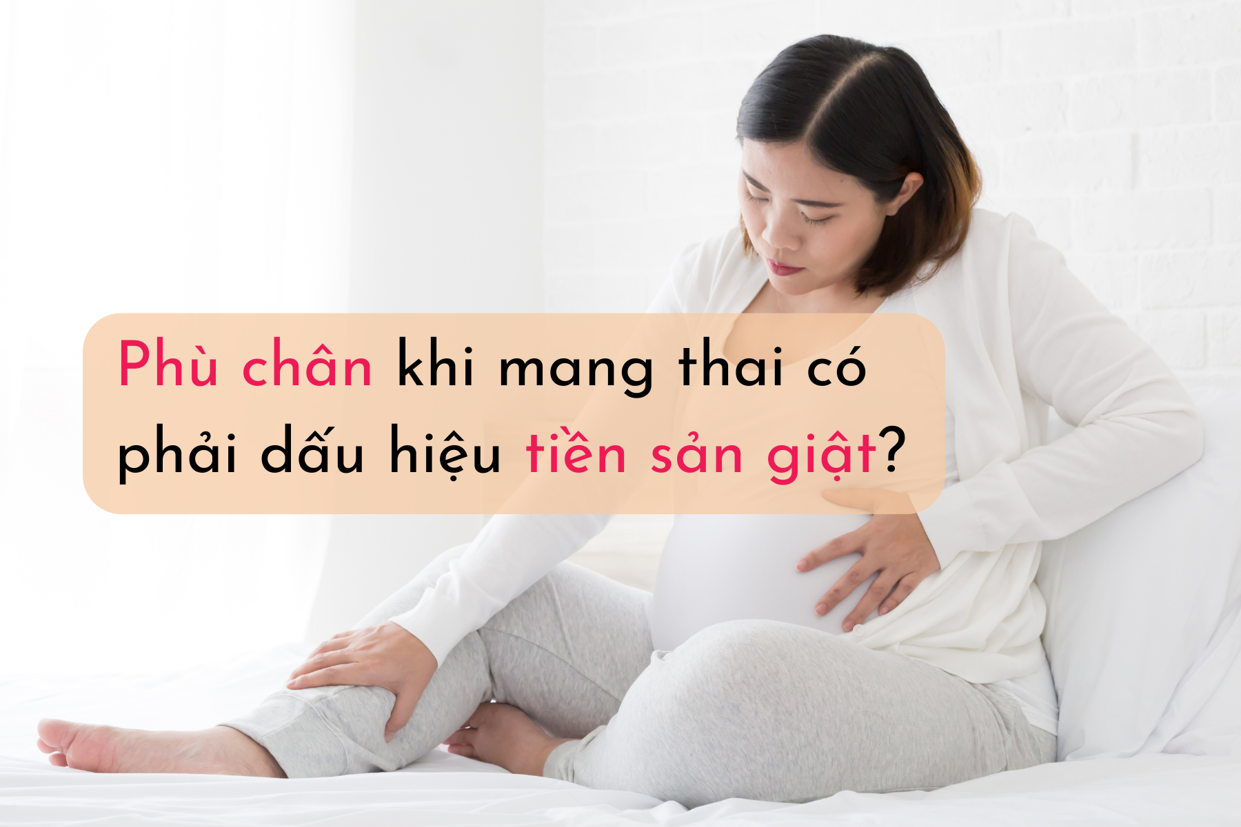phu-chan-tien-san-giat.png
