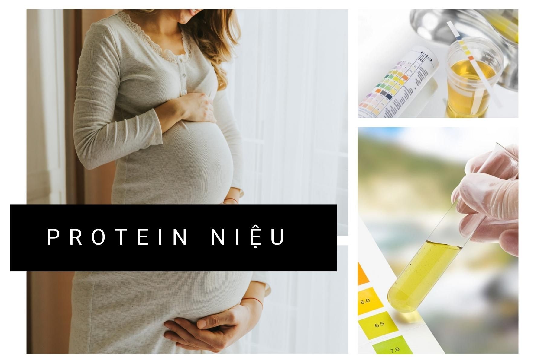 protein-nieu-trong-tien-san-giat (1).jpg