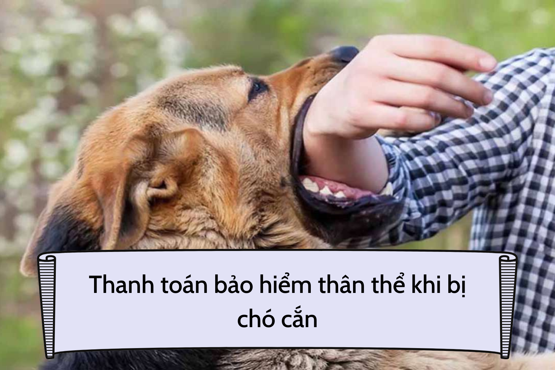 thanh-toan-bao-hiem-than-the-khi-bi-cho-can-bia.png