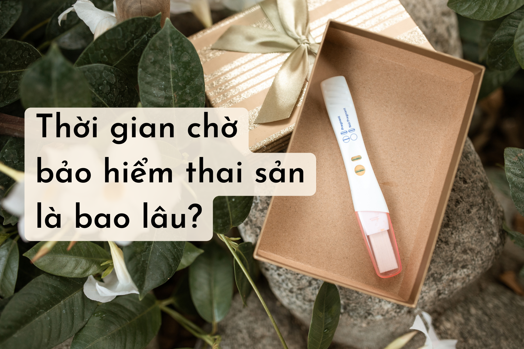 thoi-gian-cho-bao-hiem-thai-san.png