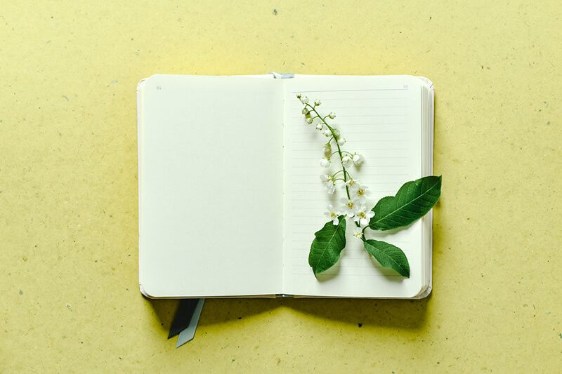 Thói quen ghi chép lại chi tiêu sẽ giúp bạn tránh sa đà vào mua sắm quá mức