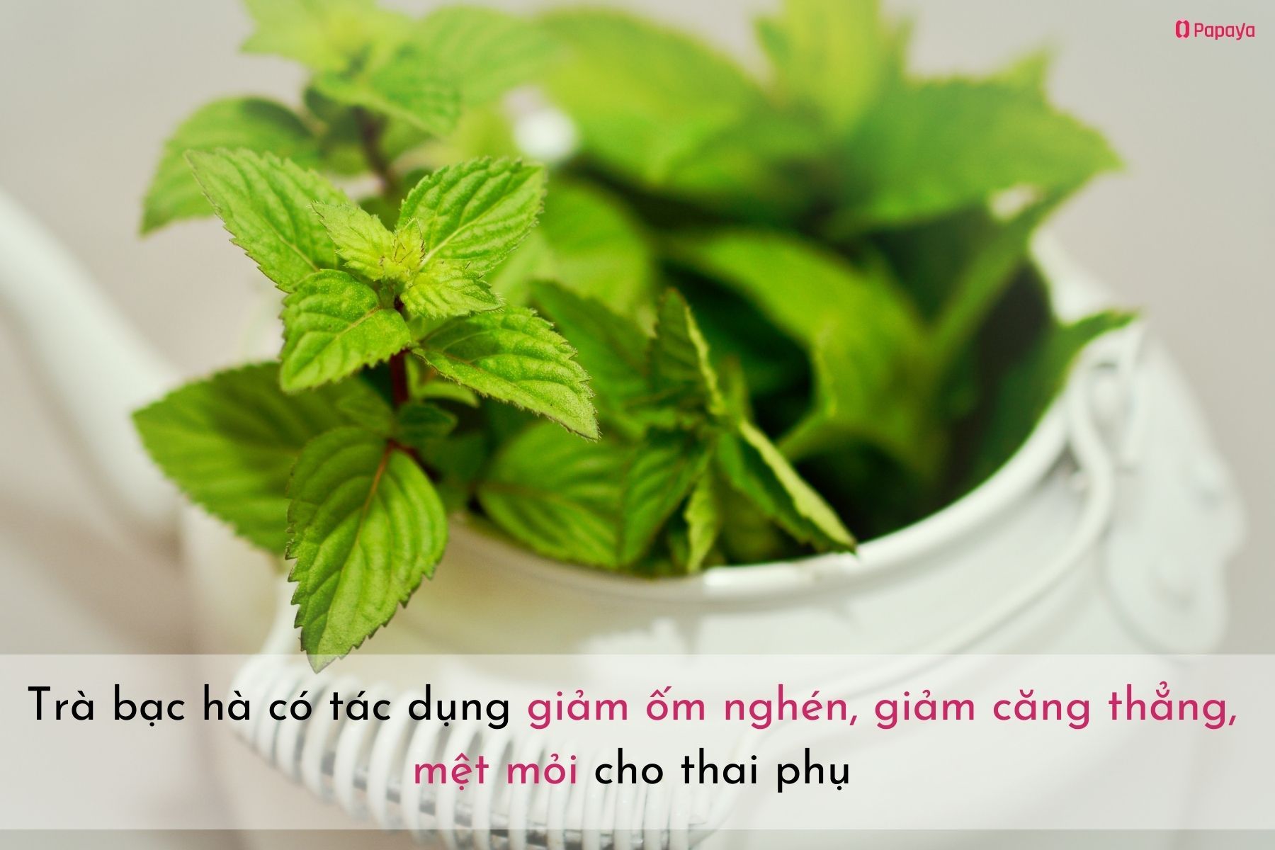 Thức uống giúp giảm ốm nghén (Nguồn: Canva)