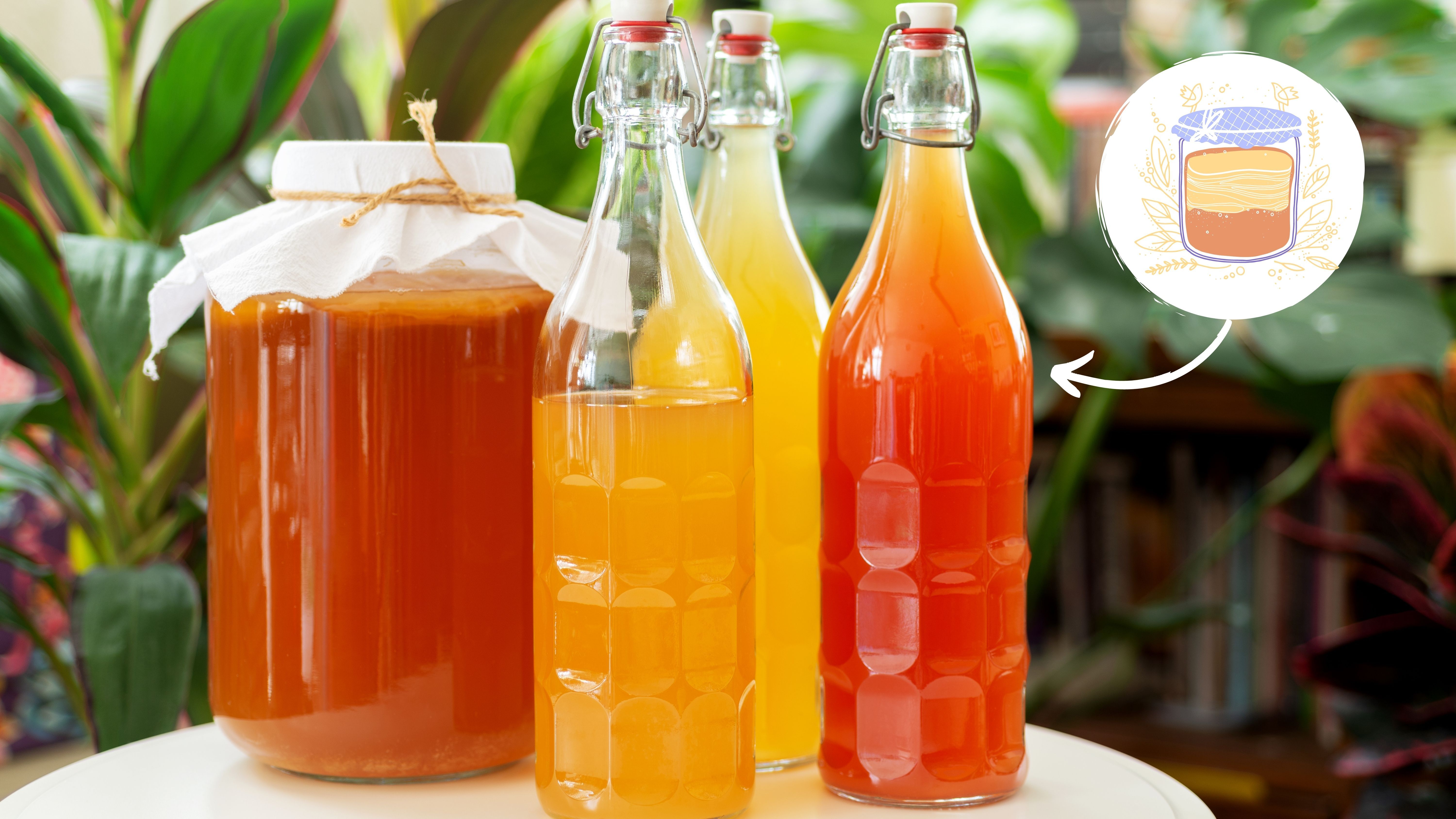 Kombucha có nhiều lợi ích tốt cho sức khỏe - Nguồn: Canva
