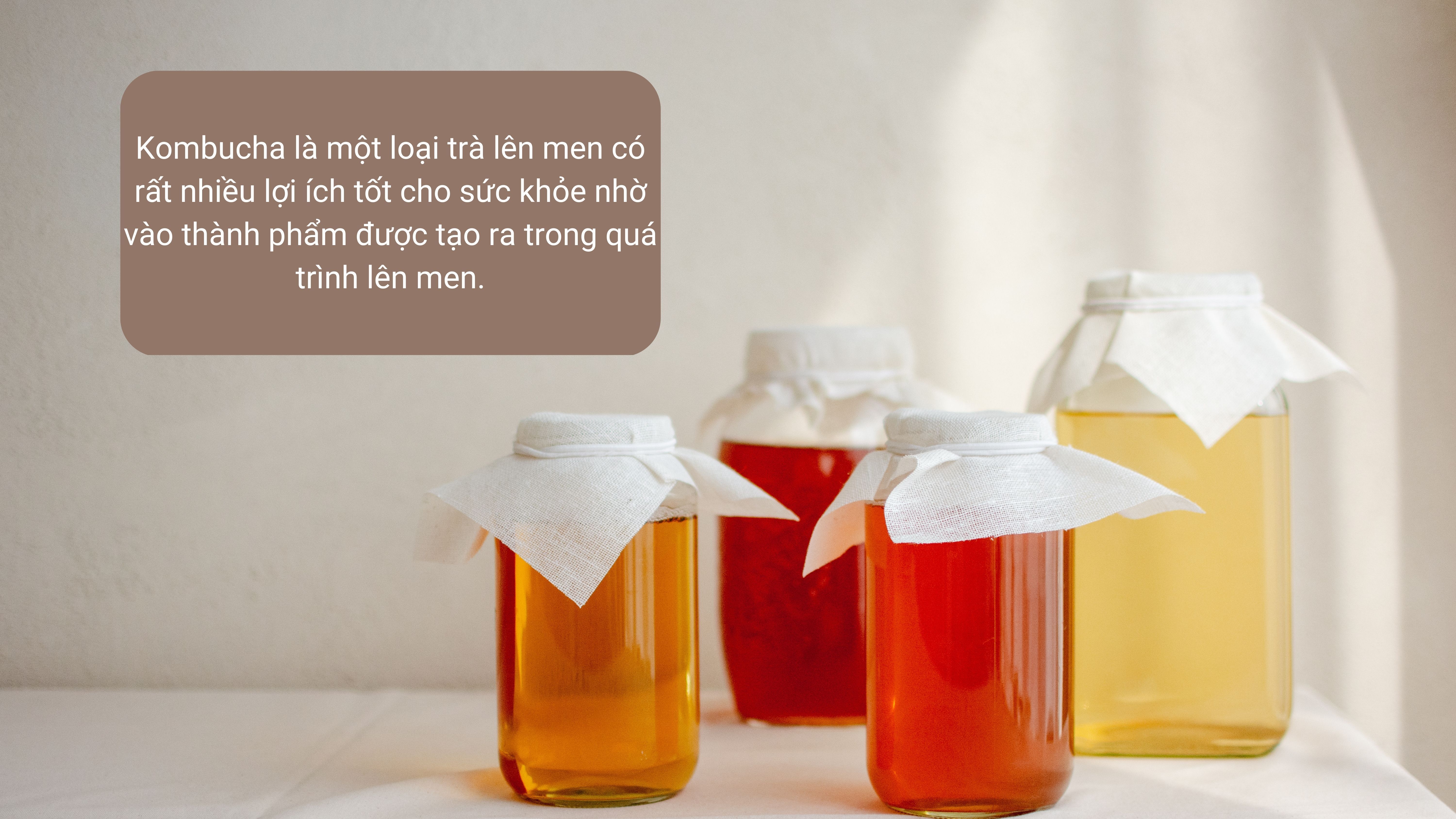 Kombucha tốt cho sức khỏe nhờ vào thành phẩm của quá trình lên men - Nguồn: Canva
