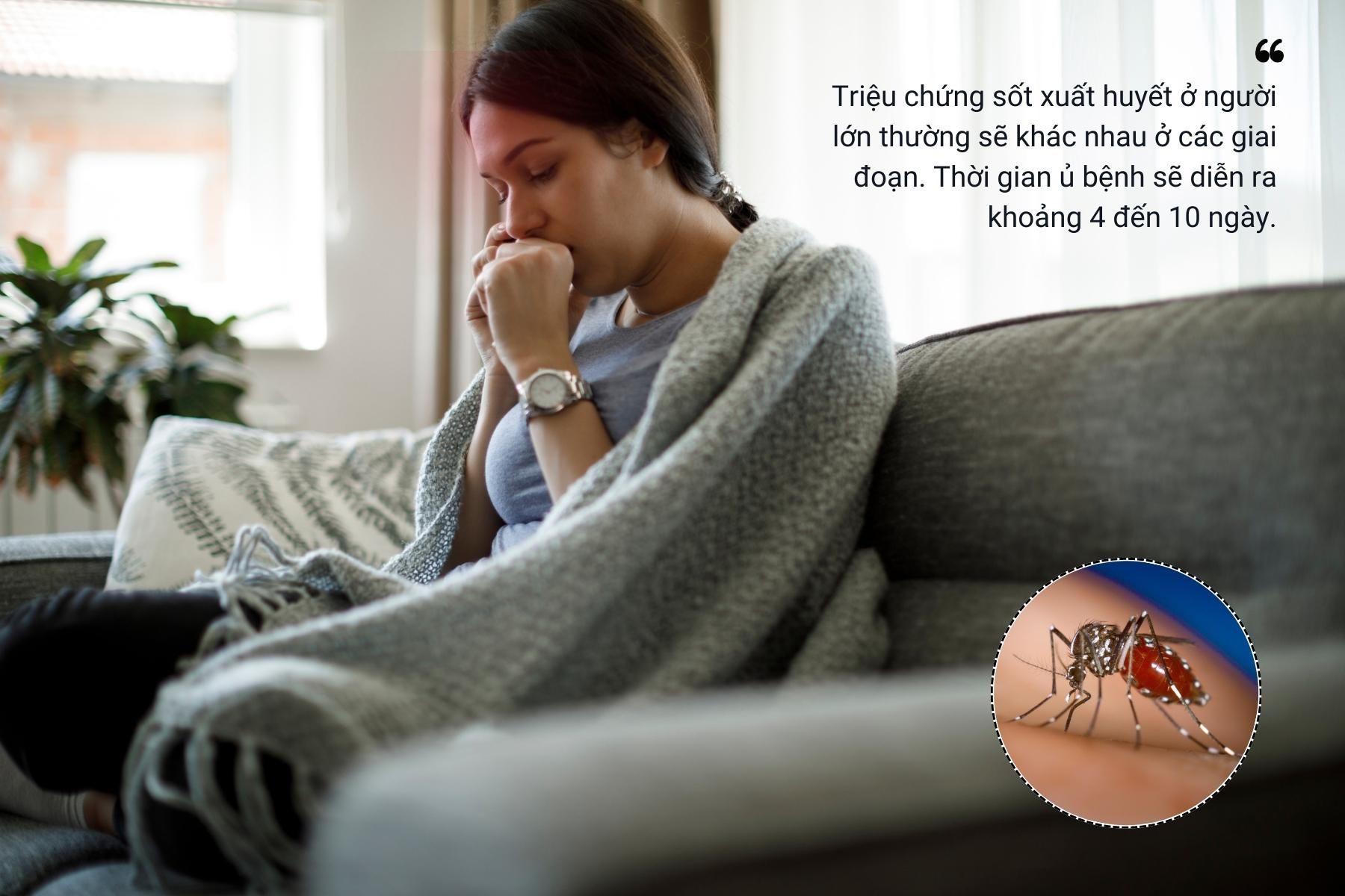 Mức độ và triệu chứng sốt xuất huyết ở người lớn chia thành 3 giai đoạn - Nguồn ảnh: Freepik
