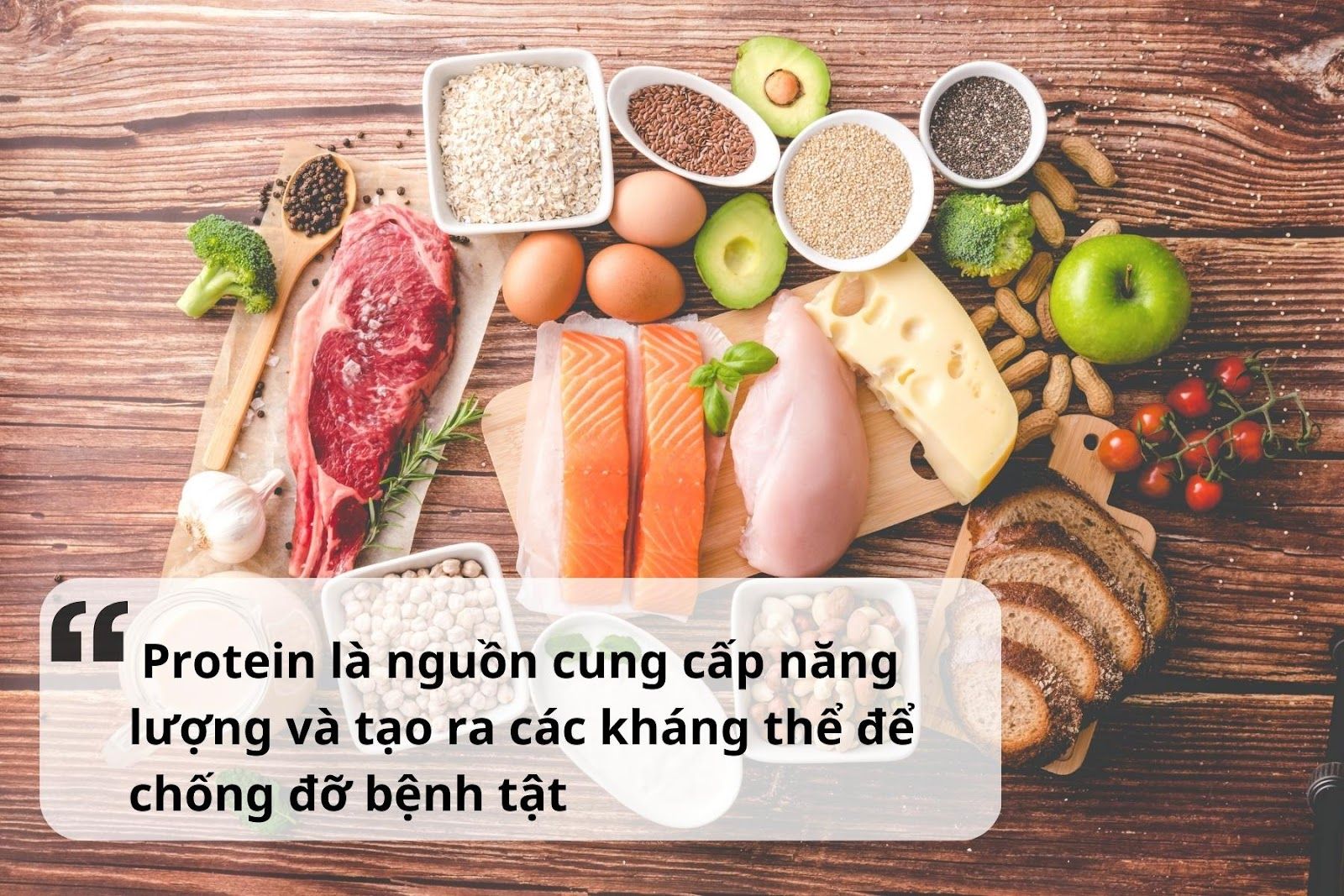 Cần bổ sung đủ lượng protein trong mọi bữa ăn (Nguồn: Canva)
