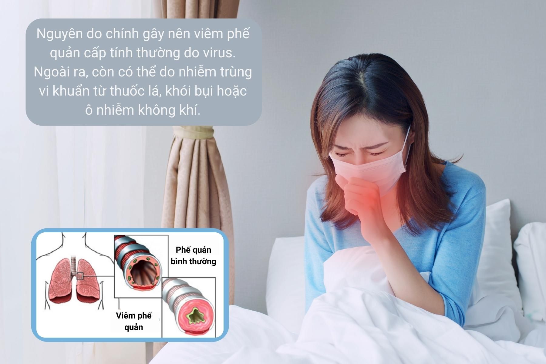 Nguyên nhân gây nên viêm phế quản - Nguồn: Canva